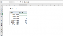 Excel DAY function